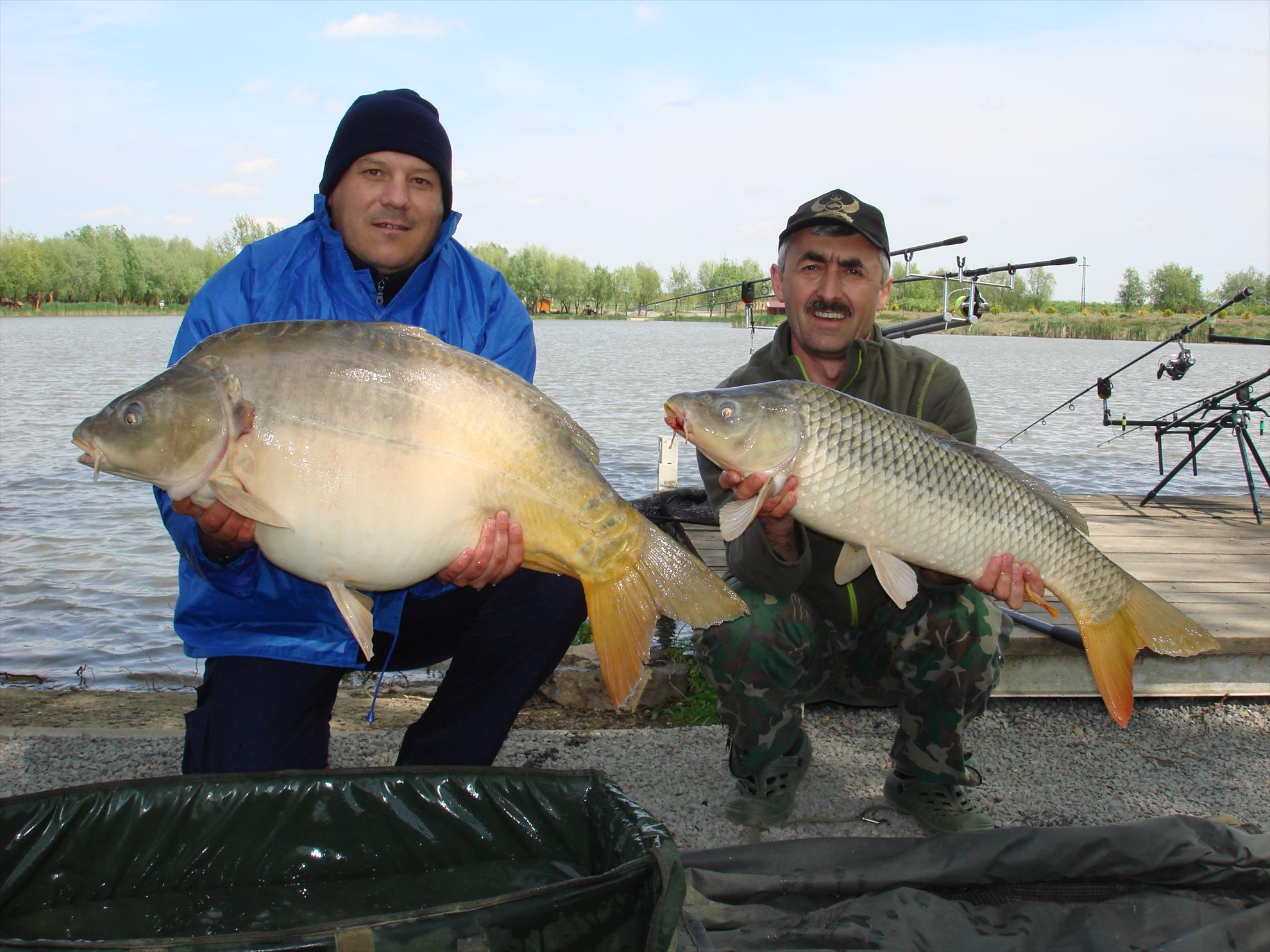 pescuit pe o balta superba - dsc06443.JPG